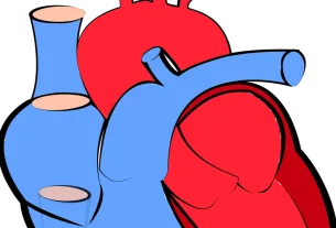 ductus arteriosus